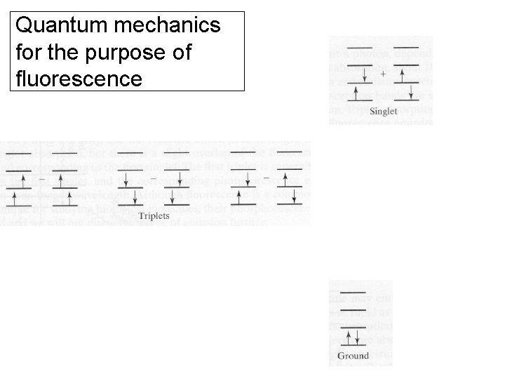 Quantum mechanics for the purpose of fluorescence Quantum mechanics for the purpose of fluorescence