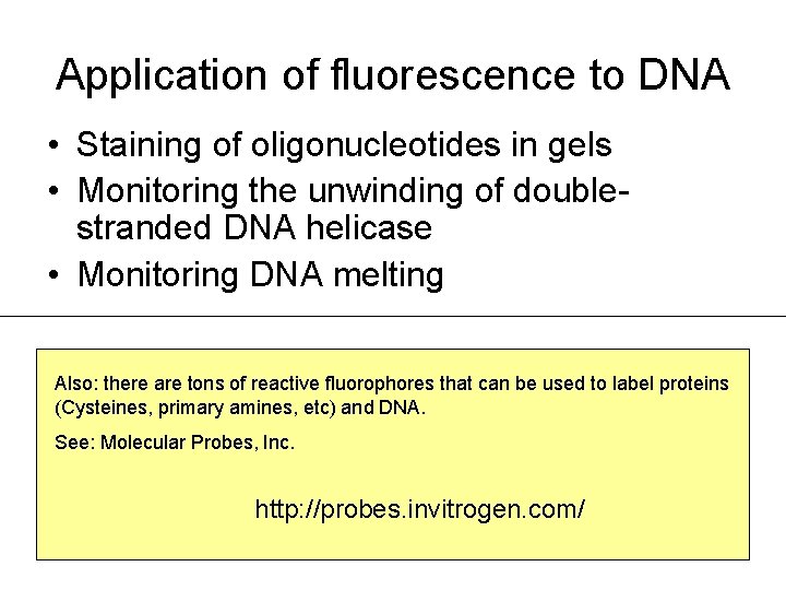 Application of fluorescence to DNA • Staining of oligonucleotides in gels • Monitoring the Application of fluorescence to DNA • Staining of oligonucleotides in gels • Monitoring the