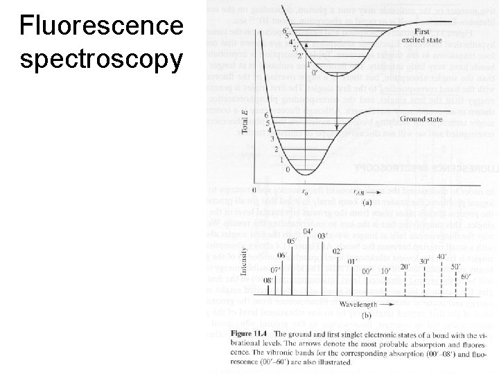 Fluorescence spectroscopy Fluorescence spectroscopy