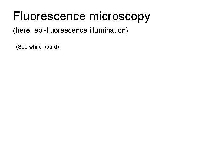 Fluorescence microscopy (here: epi-fluorescence illumination) (See white board) Fluorescence microscopy (here: epi-fluorescence illumination) (See white board)
