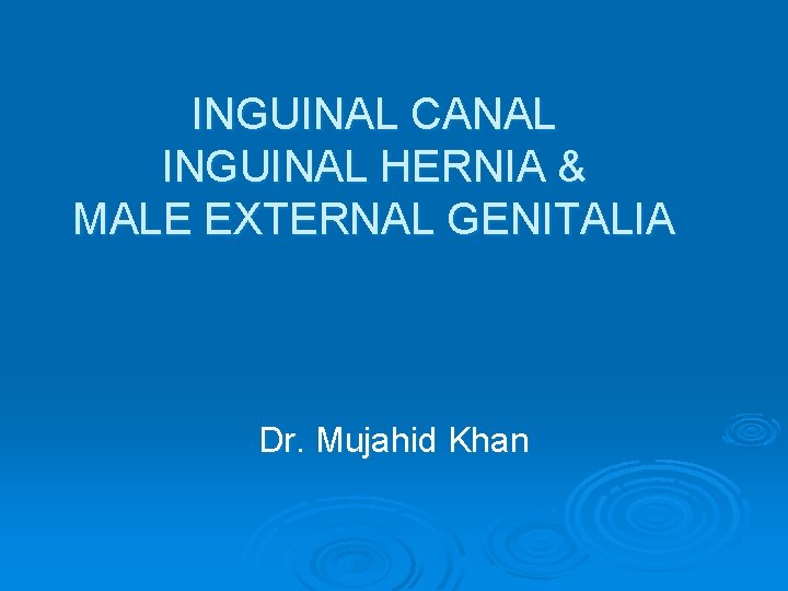INGUINAL CANAL INGUINAL HERNIA & MALE EXTERNAL GENITALIA Dr. Mujahid Khan 