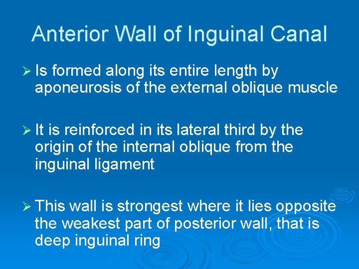 Anterior Wall of Inguinal Canal Ø Is formed along its entire length by aponeurosis