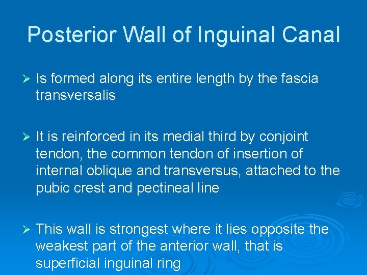Posterior Wall of Inguinal Canal Ø Is formed along its entire length by the