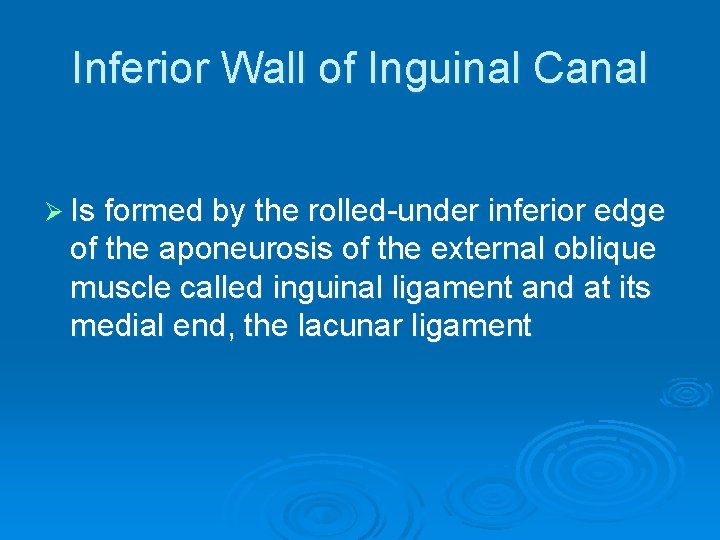 Inferior Wall of Inguinal Canal Ø Is formed by the rolled-under inferior edge of