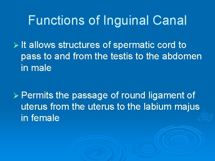 Functions of Inguinal Canal Ø It allows structures of spermatic cord to pass to