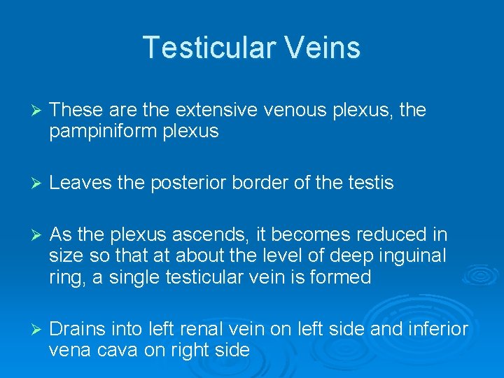 Testicular Veins Ø These are the extensive venous plexus, the pampiniform plexus Ø Leaves