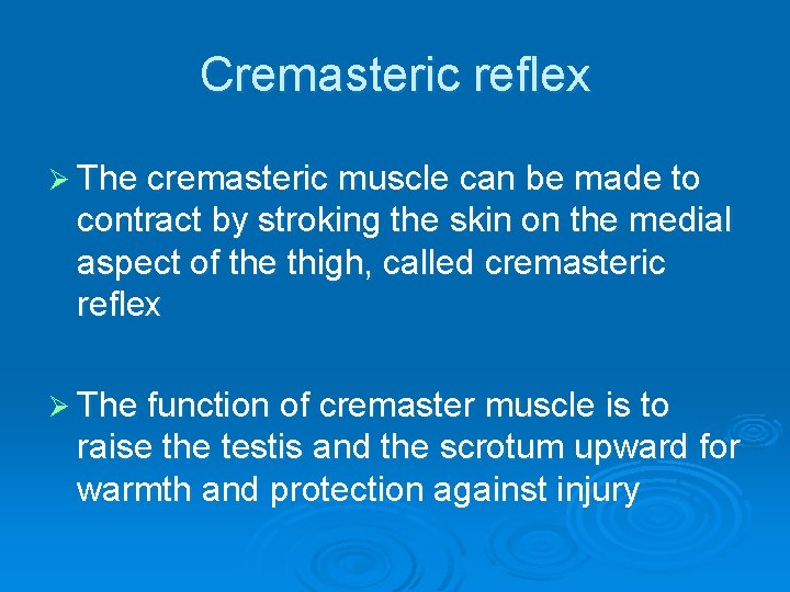 Cremasteric reflex Ø The cremasteric muscle can be made to contract by stroking the