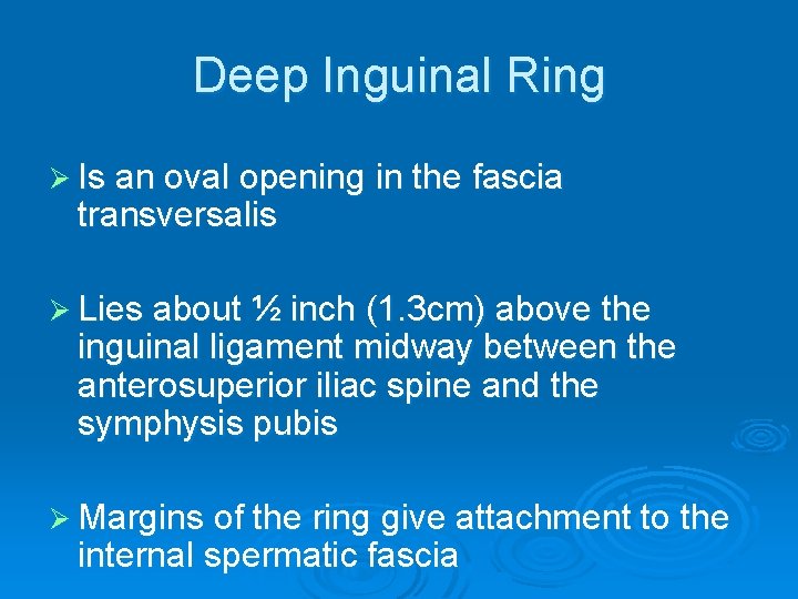 Deep Inguinal Ring Ø Is an oval opening in the fascia transversalis Ø Lies