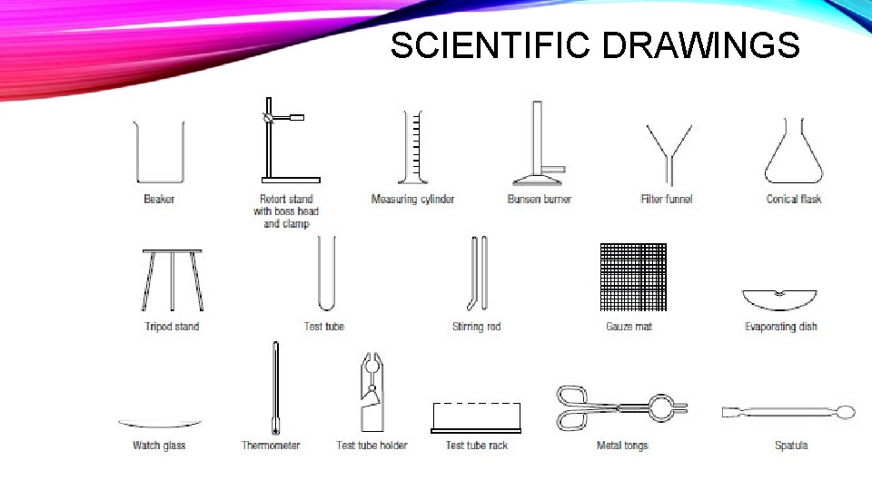 SCIENTIFIC DRAWINGS 