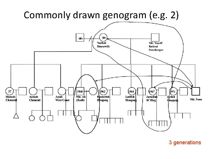 Commonly drawn genogram (e. g. 2) 3 generations 