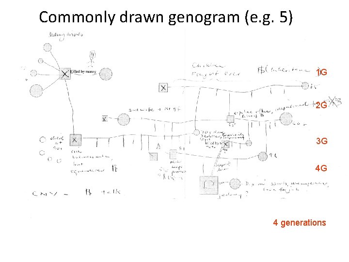 Commonly drawn genogram (e. g. 5) 1 G 2 G 3 G 4 G