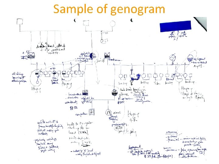 Sample of genogram 