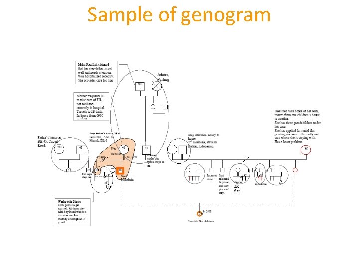 Sample of genogram 