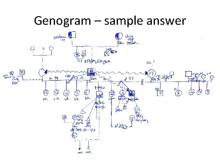 Genogram – sample answer 