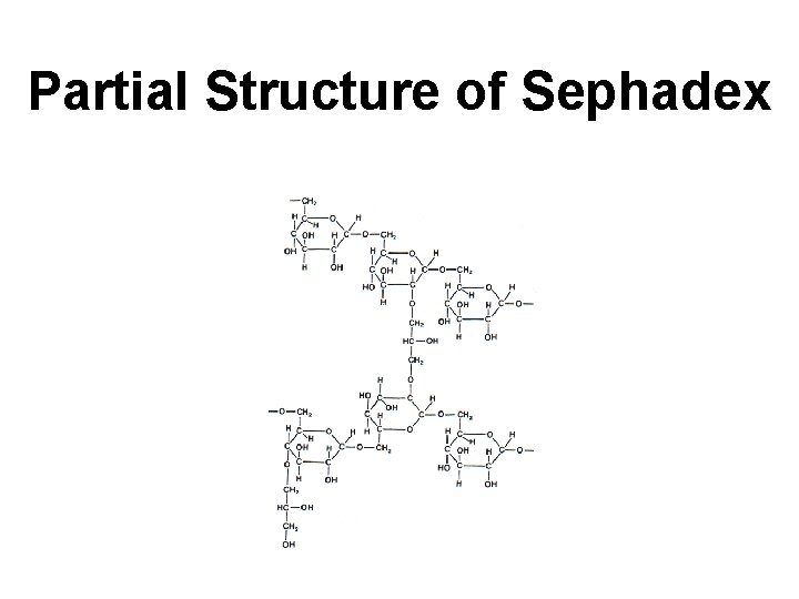 Partial Structure of Sephadex 