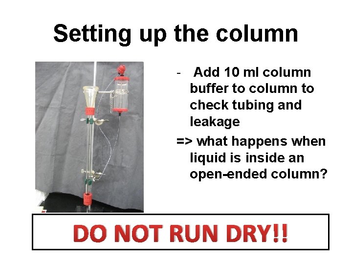 Setting up the column - Add 10 ml column buffer to column to check