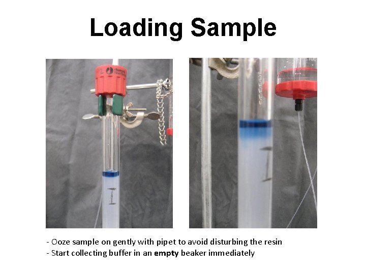 Loading Sample - Ooze sample on gently with pipet to avoid disturbing the resin