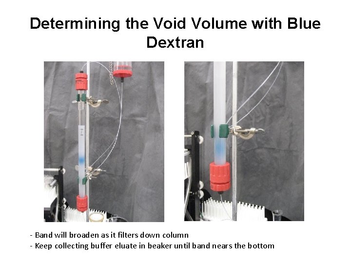Determining the Void Volume with Blue Dextran - Band will broaden as it filters