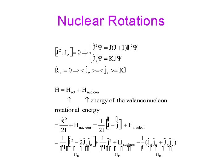 Nuclear Rotations 