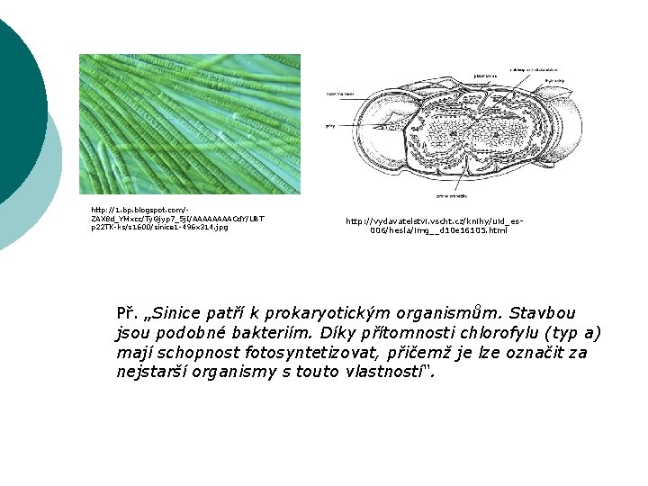 http: //1. bp. blogspot. com/ZAX 8 d_YMxcc/Ty. Gjyp 7_5 j. I/AAAACd. Y/UBT p 22