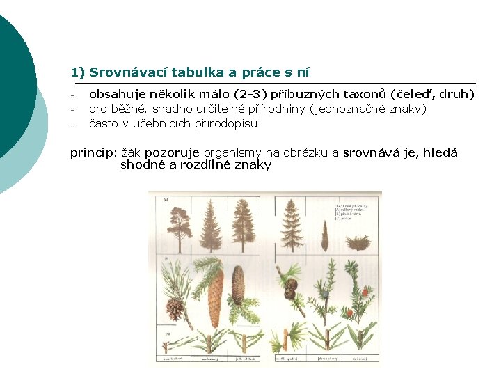 1) Srovnávací tabulka a práce s ní - obsahuje několik málo (2 -3) příbuzných