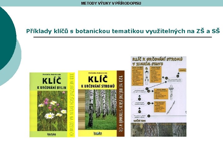 METODY VÝUKY V PŘÍRODOPISU Příklady klíčů s botanickou tematikou využitelných na ZŠ a SŠ