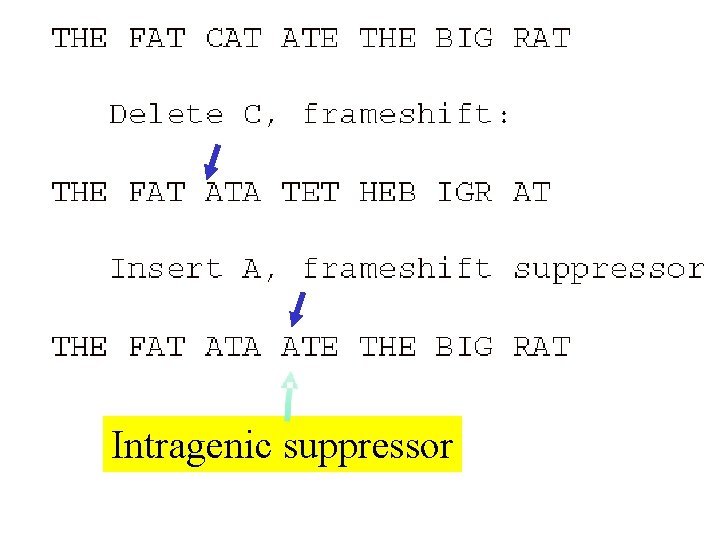 Intragenic suppressor 