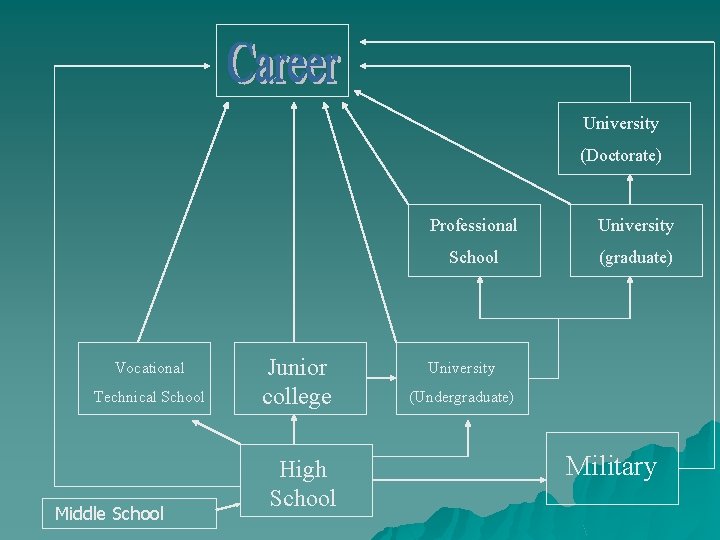 University (Doctorate) Vocational Technical School Middle School Junior college High School Professional University School