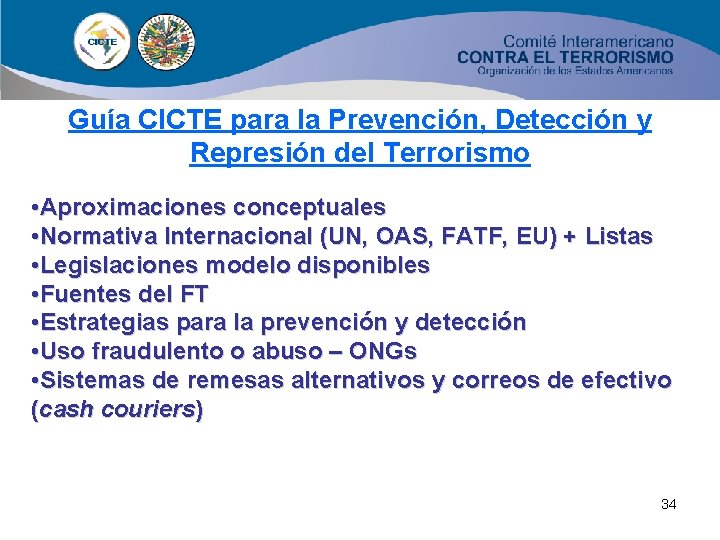 Guía CICTE para la Prevención, Detección y Represión del Terrorismo • Aproximaciones conceptuales •