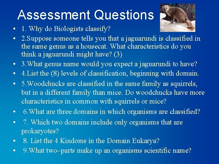Assessment Questions • 1. Why do Biologists classify? • 2. Suppose someone tells you