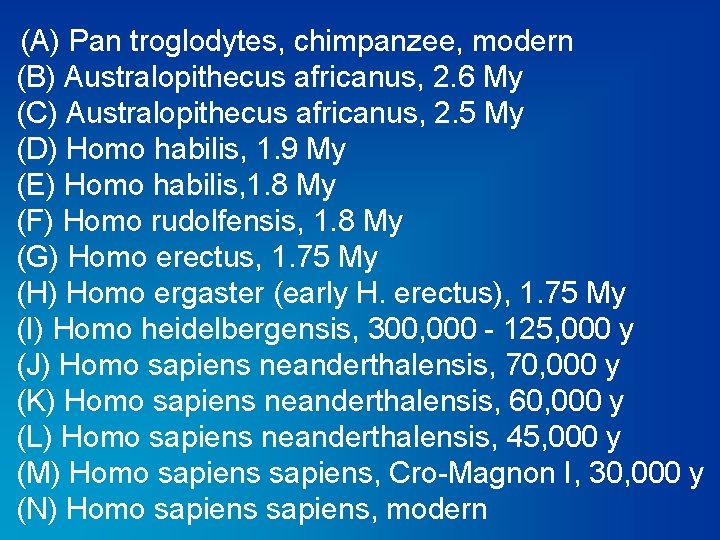 (A) Pan troglodytes, chimpanzee, modern (B) Australopithecus africanus, 2. 6 My (C) Australopithecus africanus,