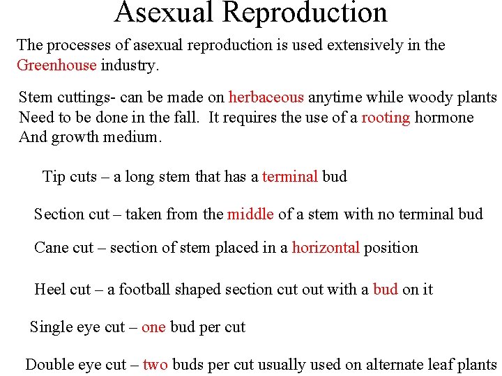 Asexual Reproduction The processes of asexual reproduction is used extensively in the Greenhouse industry.