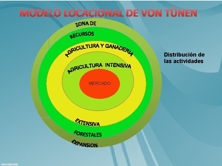 MODELO LOCACIONAL DE VON TÜNEN Distribución de las actividades MERCADO 