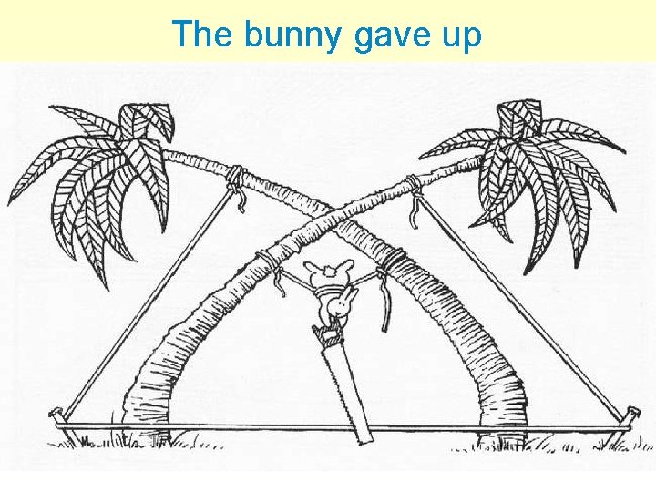 The bunny gave up 