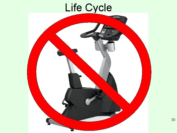 Life Cycle 30 
