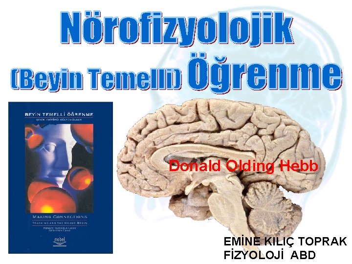 Donald Olding Hebb 11/25/2020 EMİNE KILIÇ TOPRAK FİZYOLOJİ ABD 