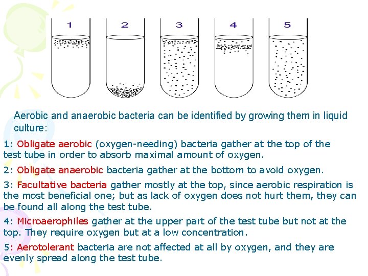 Aerobic and anaerobic bacteria can be identified by growing them in liquid culture: 1: Aerobic and anaerobic bacteria can be identified by growing them in liquid culture: 1: