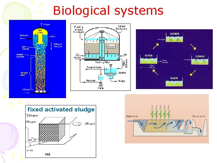 Biological systems fixed activated sludge Biological systems fixed activated sludge