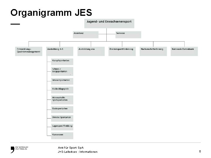 Organigramm JES — Amt für Sport Sp. A J+S-Leiterkurs : Informationen 5 