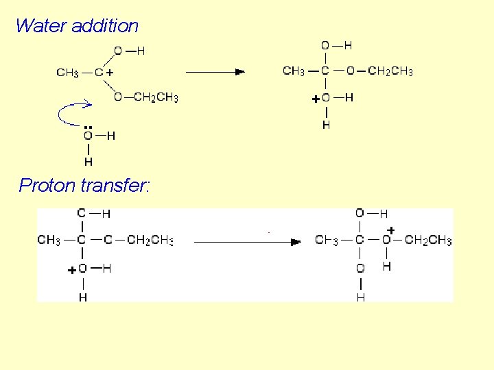 Water addition Proton transfer: 