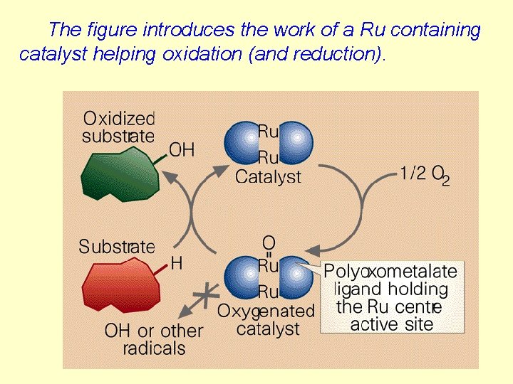 The figure introduces the work of a Ru containing catalyst helping oxidation (and reduction).