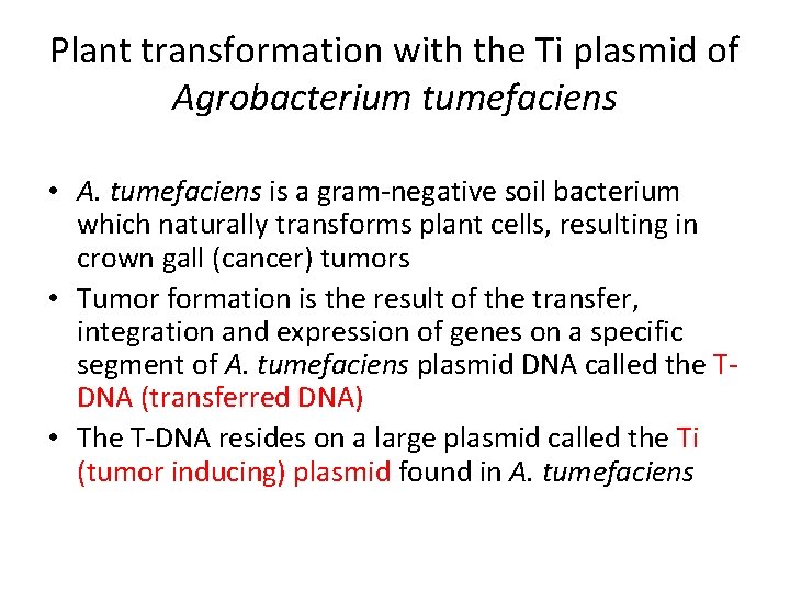 Plant transformation with the Ti plasmid of Agrobacterium tumefaciens • A. tumefaciens is a