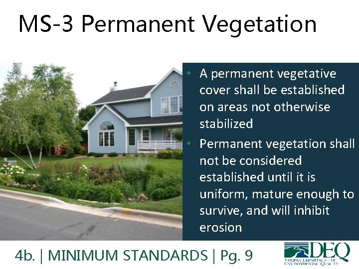MS-3 Permanent Vegetation • A permanent vegetative cover shall be established on areas not