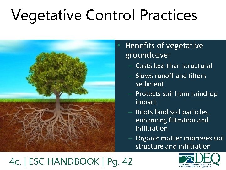Vegetative Control Practices • Benefits of vegetative groundcover – Costs less than structural –