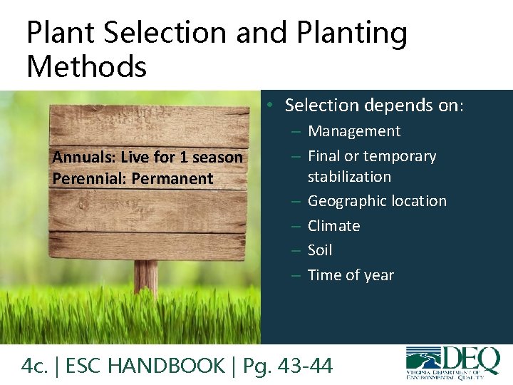 Plant Selection and Planting Methods • Selection depends on: Annuals: Live for 1 season