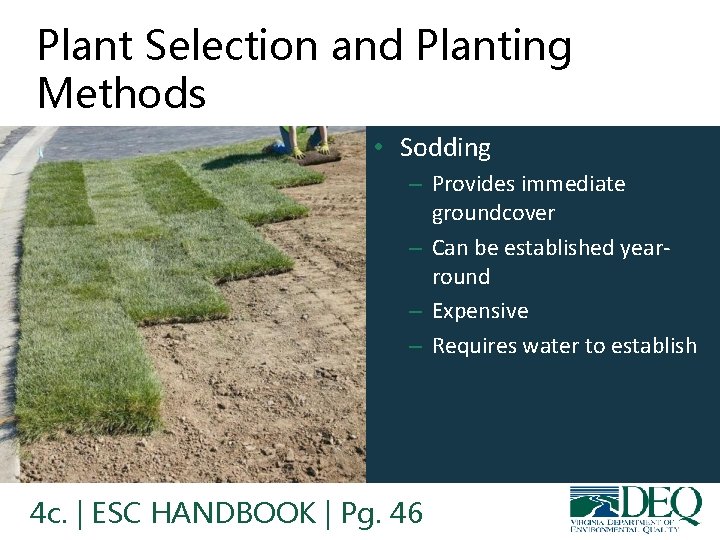 Plant Selection and Planting Methods • Sodding – Provides immediate groundcover – Can be