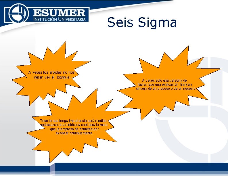 Seis Sigma • A veces los árboles no nos • dejan ver el bosque. Seis Sigma • A veces los árboles no nos • dejan ver el bosque.