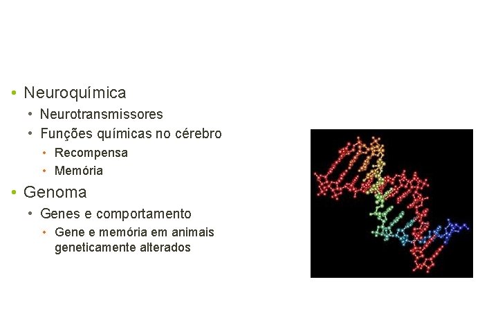  • Neuroquímica • Neurotransmissores • Funções químicas no cérebro • Recompensa • Memória