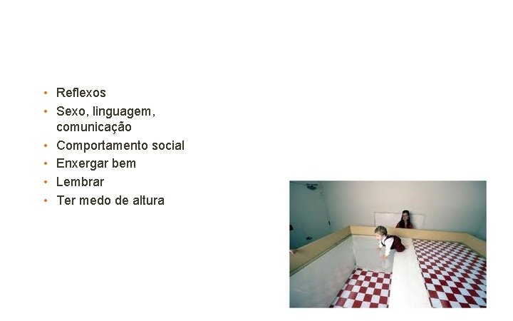  • Reflexos • Sexo, linguagem, comunicação • Comportamento social • Enxergar bem •