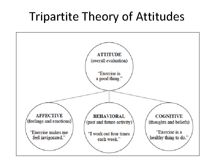 Tripartite Theory of Attitudes 